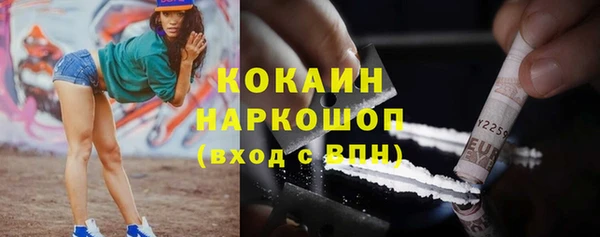 шишки Волоколамск
